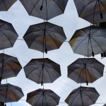 bratysławskie parasole
